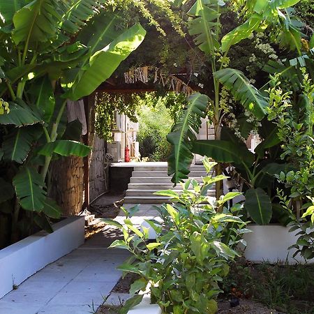 דירות אדאמאס Milos Garden מראה חיצוני תמונה