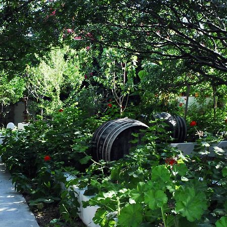 דירות אדאמאס Milos Garden מראה חיצוני תמונה